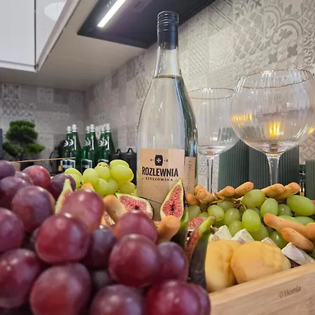 Lesny Zakatek I Male Bieszczady W Rzeszowie I Grill Sauna Starowiejska 6 Rzeszów