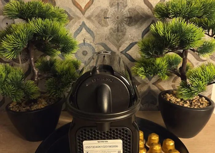 Lodge Lesny Zakatek I Male Bieszczady W Rzeszowie I Grill Starowiejska 6