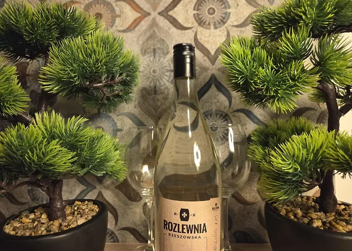 Lesny Zakatek I Male Bieszczady W Rzeszowie I Grill Starowiejska 6 Lodge Rzeszów